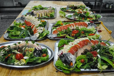 PPHU DELTA-BIS "OBIADEK"